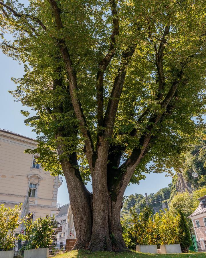 Apartamento Mozart By Welcome-to-salzburg